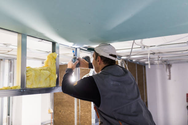 Best Insulation Maintenance and Repair in Newark, IL